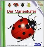 Die Marienkäfer