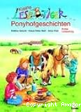 Kleine Lesetiger Ponyhofgeschichten